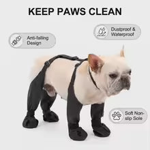 Zapatos impermeable para perros