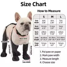 Zapatos impermeable para perros